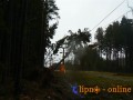 Několik zvrostlých stromů dopadlo i na lana lanovky na Kramolíně