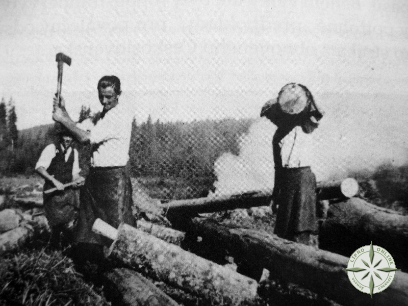 1929 - kácení dřeva a příprava na voroplavbu  na býv. Pavlíně u Pohoří na Šumavě<br>Z archivu Pavla Mörtela