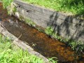 Plavební kanál začíná pár desítek metrů pod hrází rybníka Stierhübelteich<br>Z archivu Pavla Mörtela