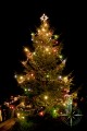 Rozsvícený vánoční stromek v Lipně nad Vltavou